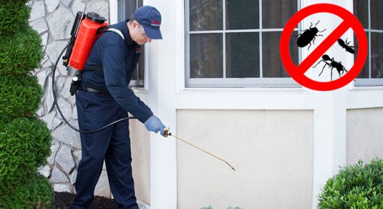 Doğanşehir Böcek İlaçlama böcek ilaçlama ve haşere kontrolü — ilaclama-tr.com